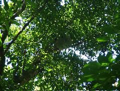 DSCF8797.JPG