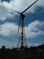 DSCF8610.JPG