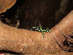 DSCF8800.JPG