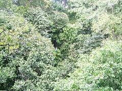 DSCF8808.JPG