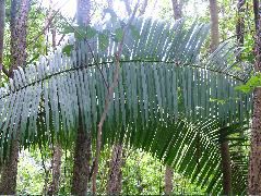 DSCF8810.JPG