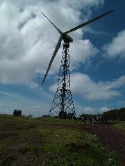 DSCF8611.JPG