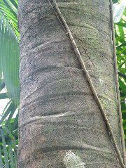DSCF8812.JPG