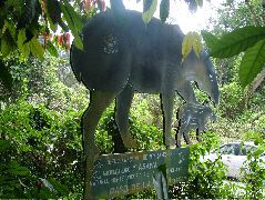 DSCF8813.JPG