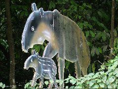 DSCF8814.JPG