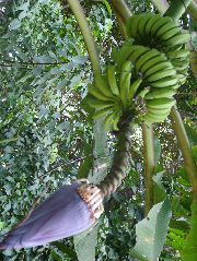 DSCF8818.JPG