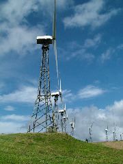 DSCF8612.JPG