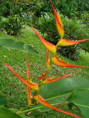 DSCF8823.JPG