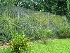 DSCF8824.JPG