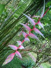 DSCF8827.JPG