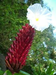 DSCF8828.JPG