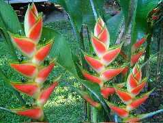DSCF8829.JPG