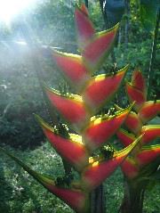 DSCF8830.JPG