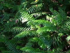 DSCF8832.JPG
