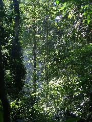 DSCF8833.JPG