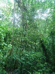 DSCF8834.JPG