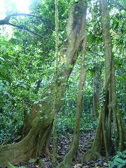DSCF8835.JPG