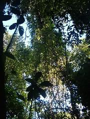 DSCF8837.JPG