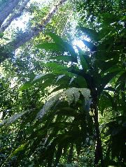 DSCF8838.JPG