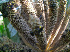 DSCF8840.JPG