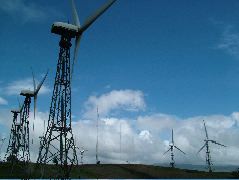 DSCF8614.JPG