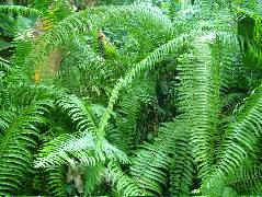 DSCF8842.JPG