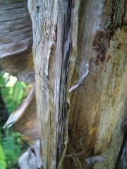 DSCF8843.JPG