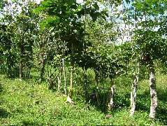 DSCF8856.JPG
