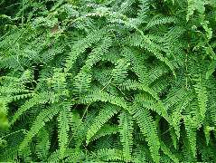 DSCF8857.JPG