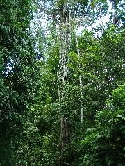 DSCF8859.JPG