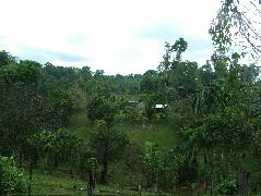 DSCF8865.JPG
