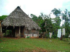 DSCF8873.JPG