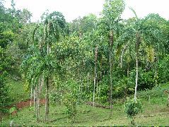 DSCF8881.JPG