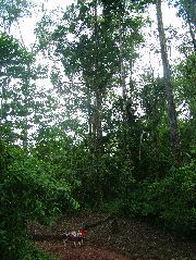 DSCF8882.JPG