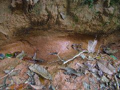 DSCF8884.JPG
