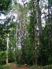DSCF8886.JPG