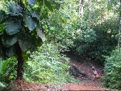 DSCF8887.JPG