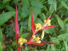 DSCF8890.JPG