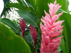 DSCF8592.JPG