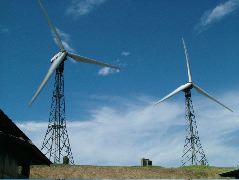 DSCF8619.JPG