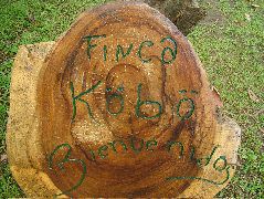 DSCF8891.JPG