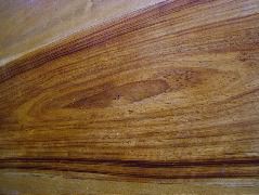 DSCF8896.JPG