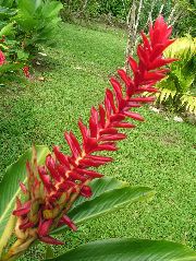 DSCF8897.JPG