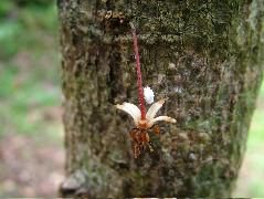 DSCF8903.JPG