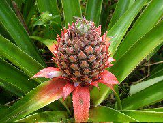 DSCF8906.JPG