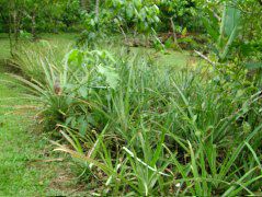 DSCF8908.JPG