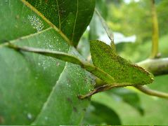 DSCF8910.JPG