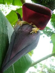 DSCF8911.JPG