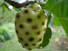 DSCF8913.JPG
