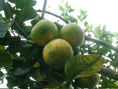 DSCF8914.JPG
